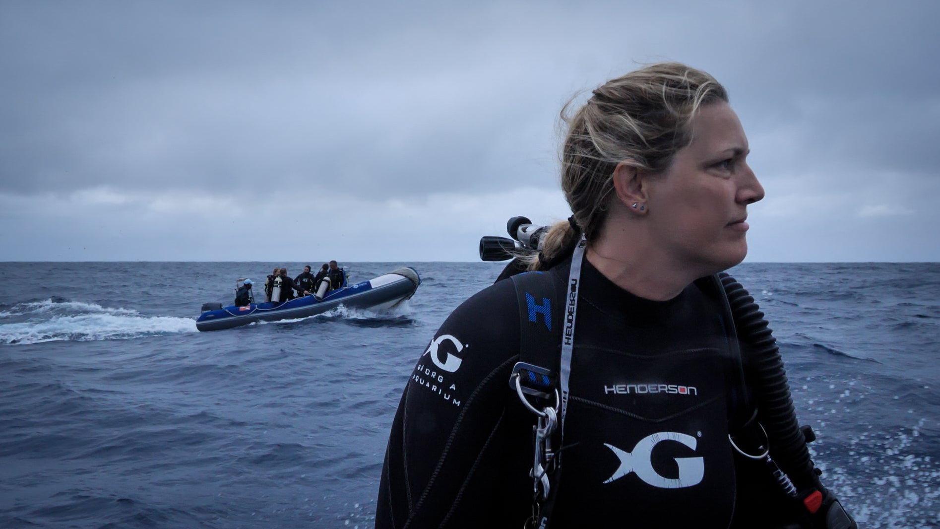 The Secret Journeys of Giant Tiger Sharks